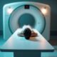 Estimation des coûts d'un Scanner PET en 2025 : Ce qu'il faut savoir